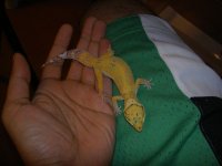 PICT0745.JPG