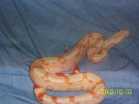 john stuart mcdonald pics.jpg