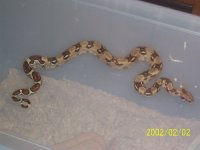 john stuart mcdonald pics 4.jpg