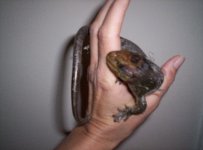 000_0288 small.jpg