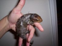000_0289 small.jpg