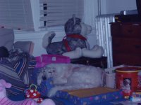 pics 193.jpg