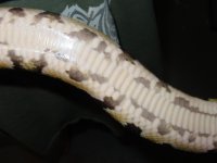 DSC01713.JPG