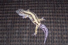 000_0001 (Small).JPG