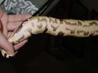 DSC01716.JPG
