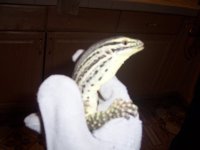 Picture 022.jpg