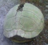 IMAGE_00010.jpg