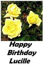 Happy Birthday.jpg