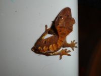 DSC04113.jpg