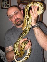 tiger retic red2.JPG
