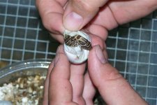 Picture 2450 (Small).jpg