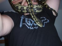 snakes9989898908 300.jpg