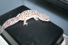 IMG_6050.jpg