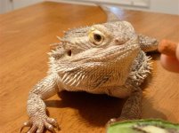 36767_74959_VeryLarge_zGbCxUapSFk.jpg