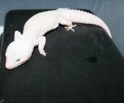 IMG_6058.jpg