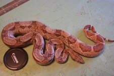 IMG_1836.jpg