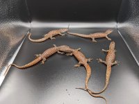 PXL_20220323_164702425.jpg