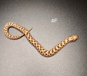 F4891AAB-D3F9-4EDC-9985-CBBC395573F6.jpg