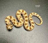D96DB98F-76CA-4AD9-907E-B141DF8E94E8.jpg