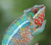 BerzerkerxJJMale9.14.jpg