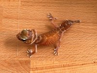 thumbnail_IMG_0380.jpg