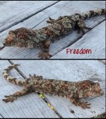 Freedom.jpg