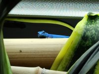 IMG_20220408_173857_2.jpg