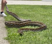 IMG_8630.jpg