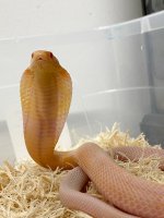 IMG_1997.jpg