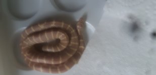 20220309_085003.jpg