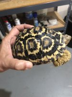 thumbnail_IMG_7221.jpg