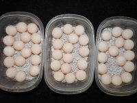 DSCN5657.jpg