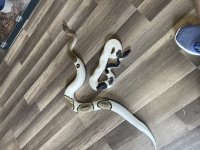 02791B98-B1CE-43E0-8066-62185E6D55FE.jpg