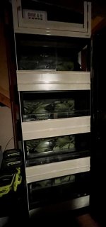 IMG_7155.jpg