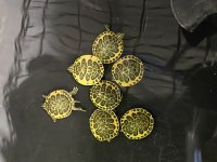 293E5DB7-69ED-4905-9607-0673EE3840B2.jpg