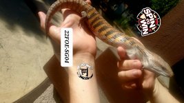 20220924_151816.jpg