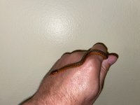 IMG_0811 (002).jpg