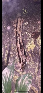 IMG_0434.jpg