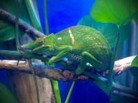 IMG_1226 2.jpg