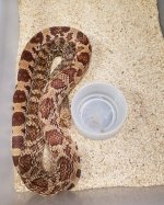 Resized_20190705_124627(1) (644x800).jpg