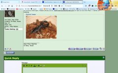 Screen Shot 2022-10-11 at 1.07.23 PM.jpg