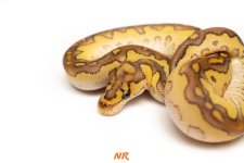 2022CL16-04e.jpg