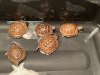 IMG_7669.jpg