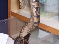 100_3448.jpg