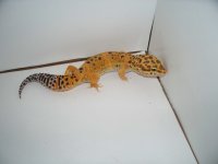 pics 024.jpg