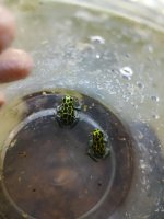 thumbnail_IMG_20221023_190425957.jpg