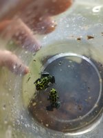 thumbnail_IMG_20221023_190436939 (1).jpg