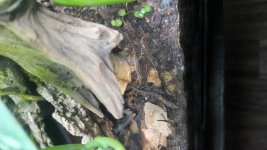 20220708_121535.jpg