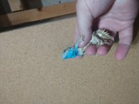IMG_20220711_151631875.jpg