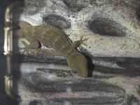 IMG_20220823_003850.jpg